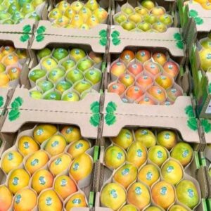 Mango Baby Fresco (Palé Preempacado)