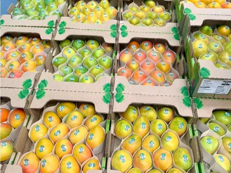 Mango Baby Fresco (Palé Preempacado) - Imagen 4