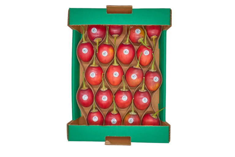 Tamarillo Fresco (Palet Pre-embalado) - Imagen 4