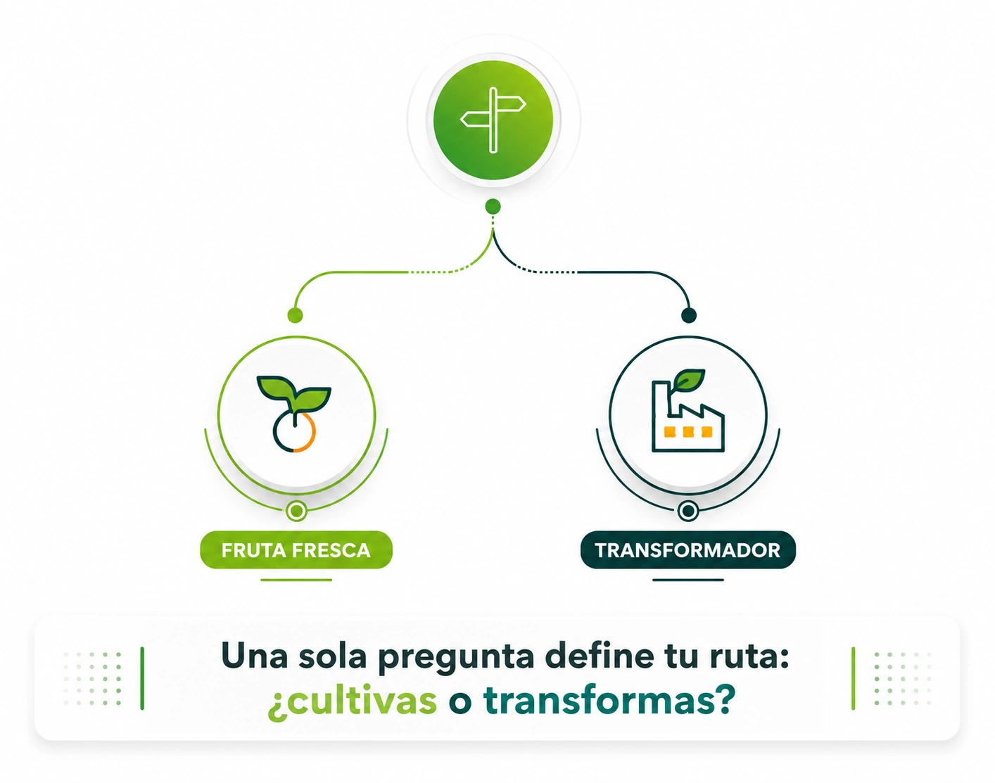Cultivas o transformas — dos rutas de cumplimiento